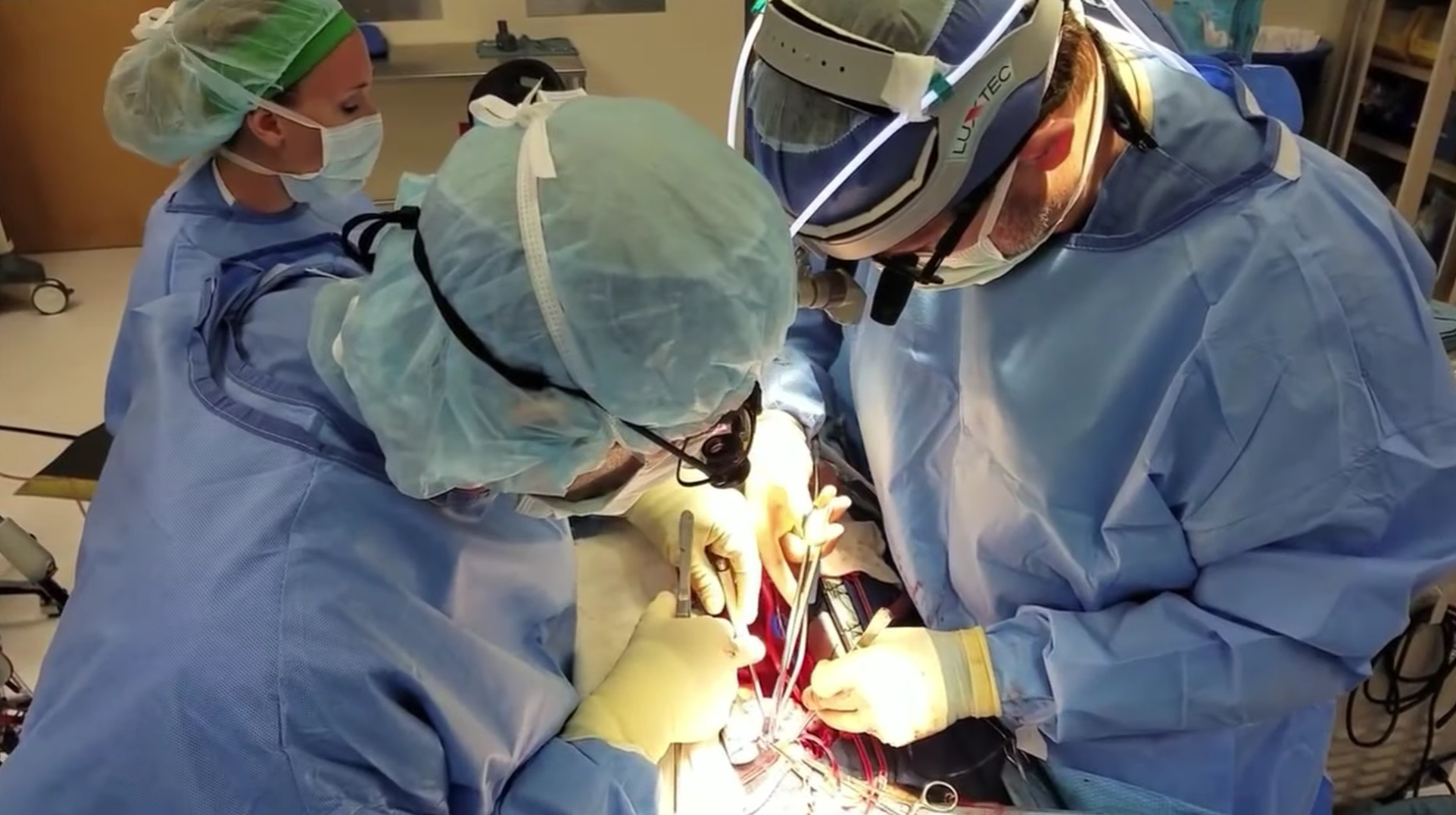 Kapak Değişimi veya Onarımı (Aort / Mitral Kapak Cerrahisi)